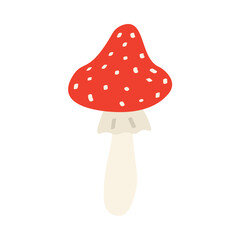 Amanita muscaria mushroom on white background