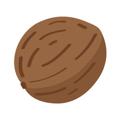 Whole walnut on white background