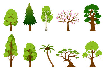 Set of different trees on white background