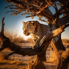 Deurstickers leopard in the tree © Batzz