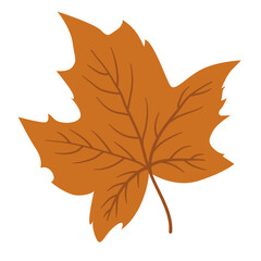 Obraz premium Autumn Leaf, Brown Fall Leaf