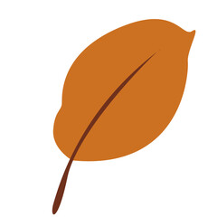 Autumn Leaf, Brown Fall Leaf