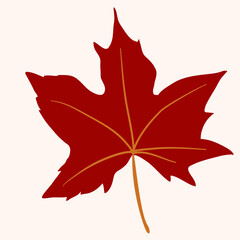 Autumn Leaf, Fall Foliage, Brown Leaf