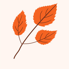 Autumn Leaf, Fall Foliage, Brown Leaf
