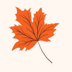 Autumn Leaf, Fall Foliage, Brown Leaf