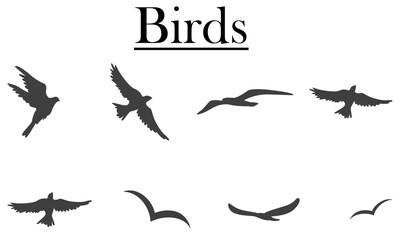 collection of flying birds silhouettes. Vector illustration