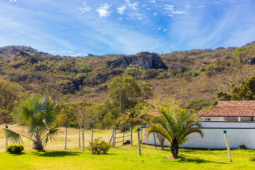 Vegetation of Biribiri State Park