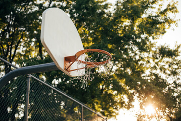 basketball hoop and trees © Lauren