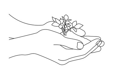 hand holding a little green tree plant ,  line art  vector .