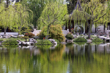 Fototapeta na wymiar Scenic landscape of Huntington Botanical gardens in Pasadena, California.