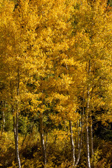 Obraz premium Beautiful Utah mountains in fall