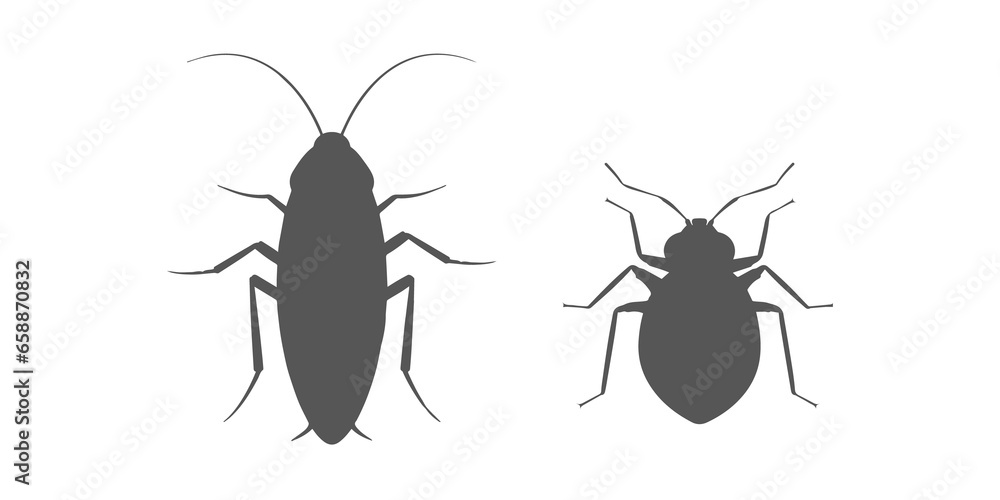 Poster cockroach bug and bedbug