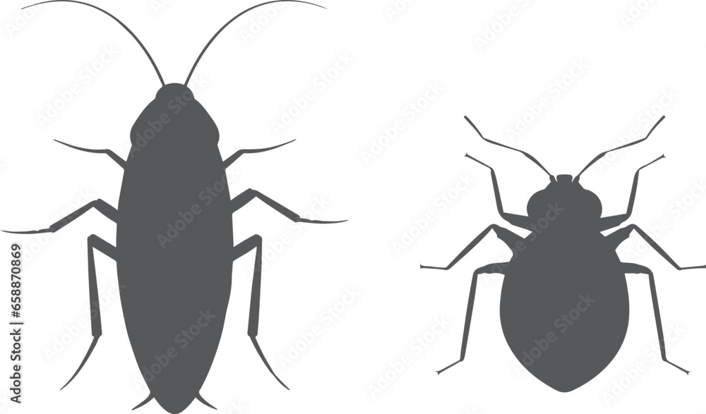 Poster cockroach bug and bedbug