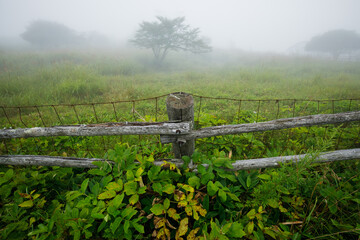 霧の中の錆びた牧柵