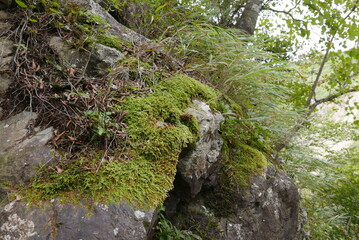 Mt. Tonodake is the highest peak along the Omote Ridge  that runs between Mt. Oyama and Nabewari Ridge . It has easy access, being about 80 minutes to Shibusawa Station from both Shinjuku and Tokyo.