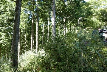 Mt. Tonodake is the highest peak along the Omote Ridge  that runs between Mt. Oyama and Nabewari Ridge . It has easy access, being about 80 minutes to Shibusawa Station from both Shinjuku and Tokyo.