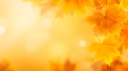 Naklejka na ściany i meble Autumn maple leaves decorative composition with copyspace