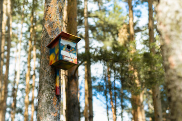 Beautiful view of a wooden birdhouse attached to a pine tree in a forest, with trees in the background and space for text. Concept of nature, landscape and environment. Multicoloured wooden birdhouse