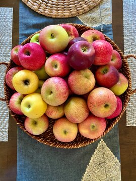 Above view of woven tray full of different types of apples. Jonagold, Rosalee, Pink Luster, Cox Orange Pippen, Pixie Crunch, Honey Crisp, Blondee, Empire, Gibson Golden. 