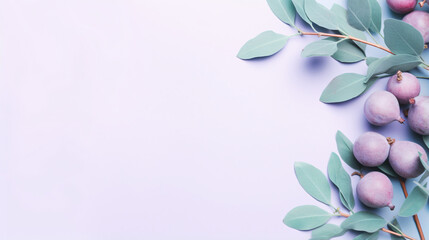 Pastel background and eucalyptus leaves.
