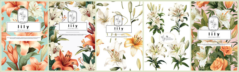 Set of Elegant lily, Realistic Vector Illustrations of Flowers, Leaves, and Plants for Backgrounds, Patterns, and Wedding Invitations.