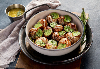 Snails with herbs butter,  French traditional food with parsley and bread on grey background.