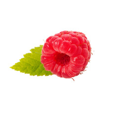 Organic raspberry with leaf, close up studio shot on a transparent background