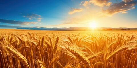 a wheat field with the sun setting - Powered by Adobe