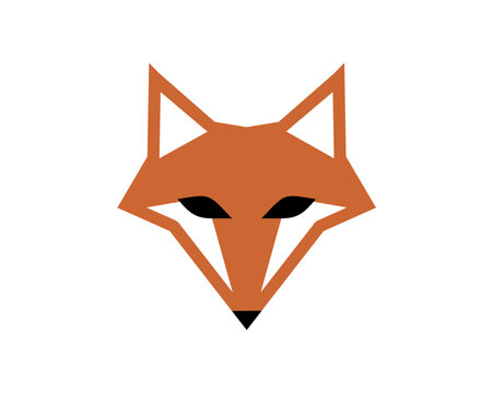 the fox face