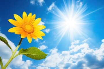 a yellow flower with green leaves and a blue sky with clouds