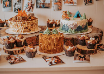 Camping Themed cakes and cupcakes on birthday table