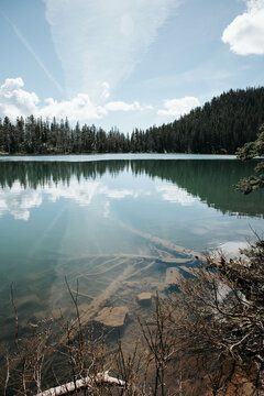 Hiking in the Bridger Mountains