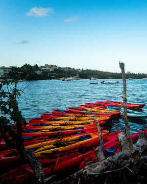 Colorful kayaks in water near Fajardo, Puerto Rico.