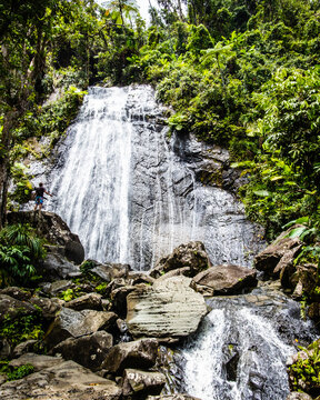 El Yunque National Forest in Puerto Rico.