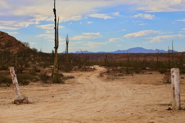 lost in baja mexico trip