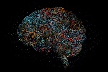 Tuinposter Brain graphic, neon neuro pattern and digital illustration with science hologram and mind connections. Black background and neuroscience pathway of intelligence, anatomy system and cerebral lines © Malambo C/peopleimages.com
