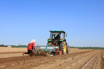 In spring, farmers use farm machinery to grow peanuts