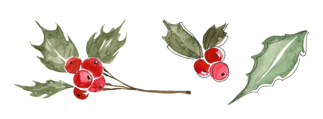 Winter and Christmas plants.holly elements with green leaves and red berries on a white background, a branch, a bunch of berries and a separate leaf.Hand drawn watercolor image for the design of cards