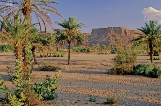 Wadi Hadhramaut