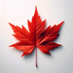 Red Maple Leaf