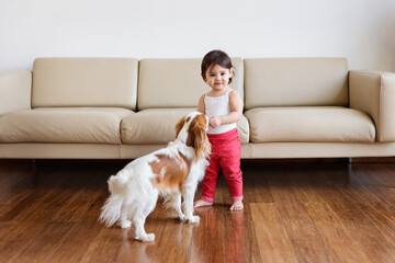 Smiling toddler girl feeding her dog a biscuit