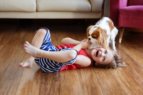 Laughing young boy laying down on wooden floor while his dog is licking his hands