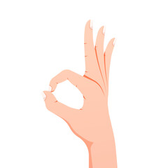 OK hand gesture vector isolated on white background.