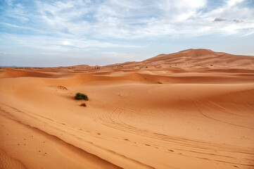 Fototapeta na wymiar Sahara Desert Sand Dunes Against Blue Sky