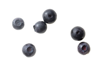 Blueberry berry isolated on white background. Close-up