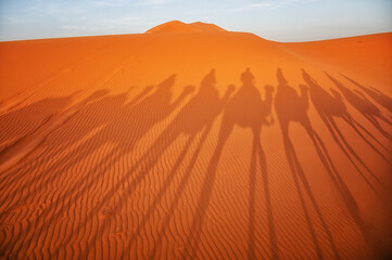 Fototapeta na wymiar Camal caravan on a Nomad trip through sand desert