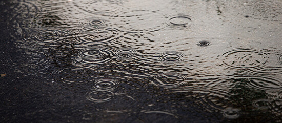 Raindrops on the surface of the asphalt. 