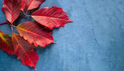 red maple leaves, Autumn Aesthetics: Top View of Red Leaves on Slate with Space,  AI Generated