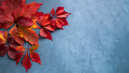 red autumn leaves, Fall Foliage Elegance: Red Leaves on Blue Slate Background,  AI Generated