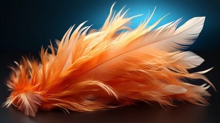 Bird feathers. Realistic feathers. 
